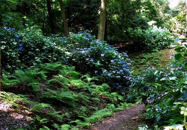 Bois des Moutiers  (73) Summer 2012